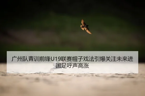广州队青训前锋U19联赛帽子戏法引爆关注未来进国足呼声高涨